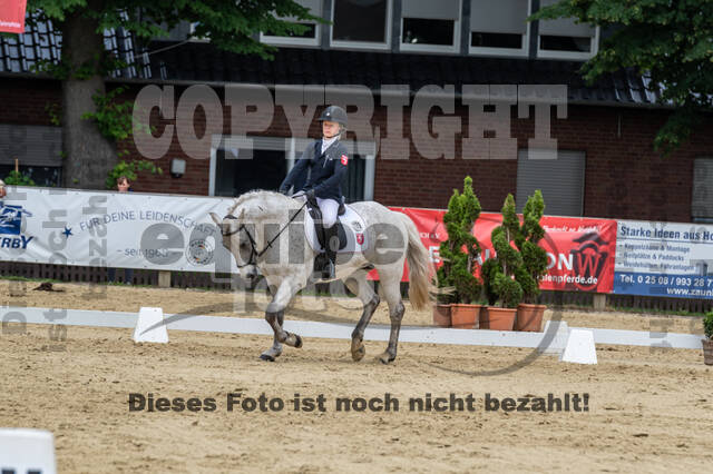 Goldene Schärpe 2021 - Ponys