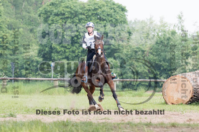 Vielseitigkeitsturnier ZRFV von Lützow Hamminkeln