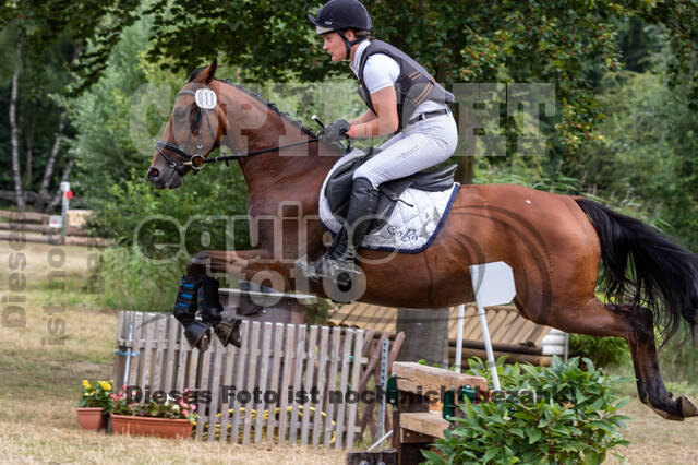 Late-Entry Vielseitigkeit Hamminkeln/Wesel (01.+02.08.2020)