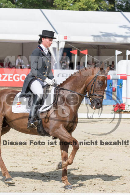 FEI European Championship Eventing 2017