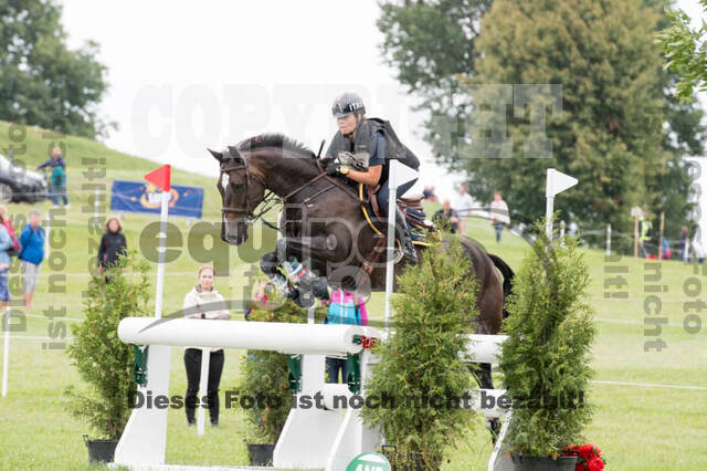 FEI European Championship