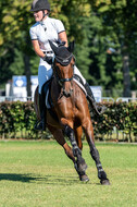 Kronenberg - De Peelbergen (August 2020)