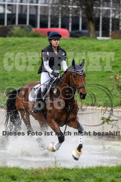 Goldene Schärpe 2020 - Pferde