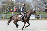 Eventing Langenfeld 2018