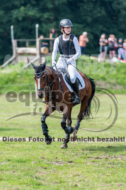 Goldene Schärpe 2021 - Ponys