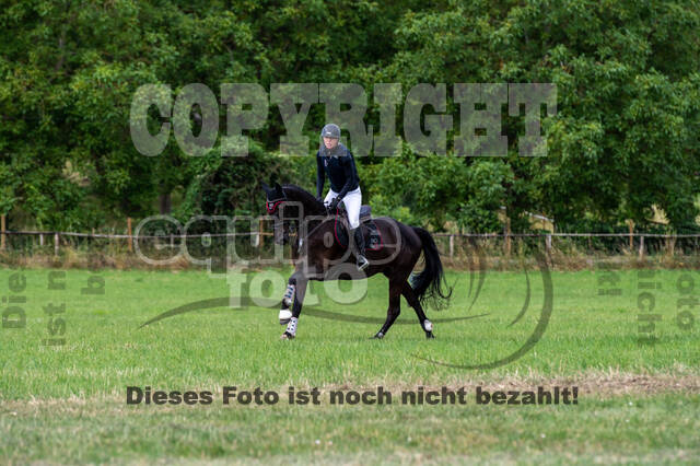 Bonn-Rodderberg Late-Entry-Vielseitigkeit (30.06.2020)