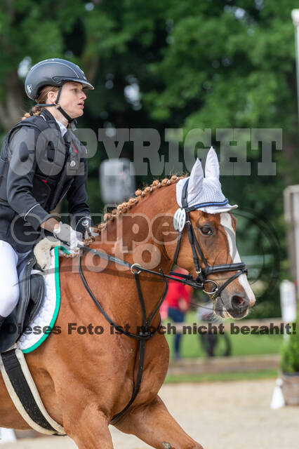 Goldene Schärpe 2021 - Ponys