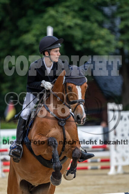Goldene Schärpe 2021 - Ponys