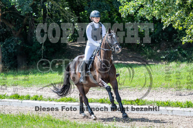 Late-Entry-Vielseitigkeit Langenfeld (06.+07.07.2020)