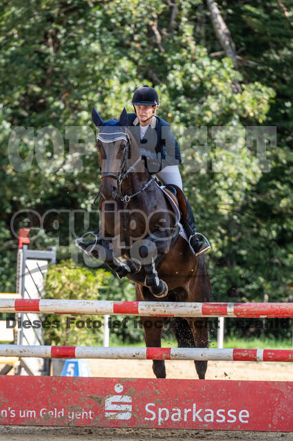 RFV Dinslaken-Hiesfeld (Herbstturnier)