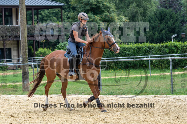 Hunter Geländetraining 10.07.2021 (Sonsbeck)