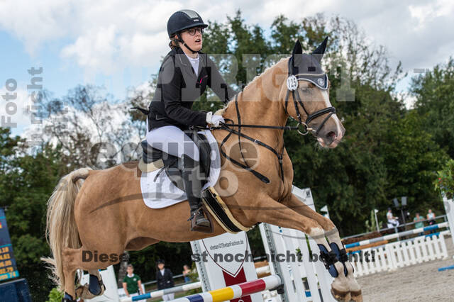 Landesturnier Rheinland, Vielseitigkeit, 22.+23.08.2020