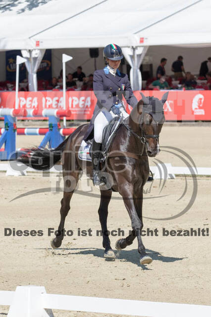FEI European Championship