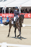 FEI European Championship