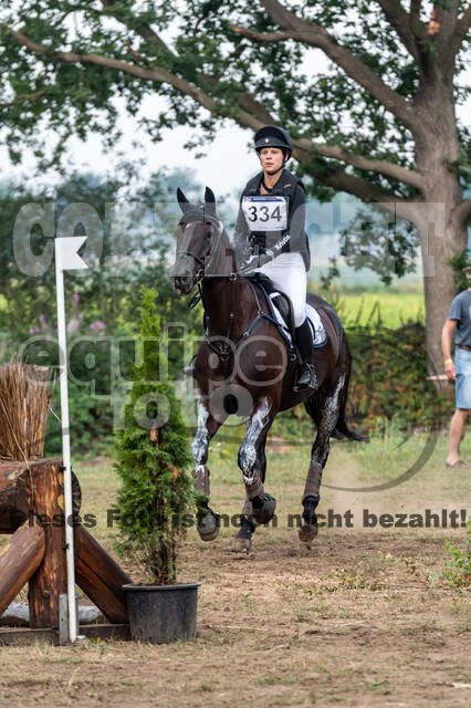 De Peelbergen (August 2020)