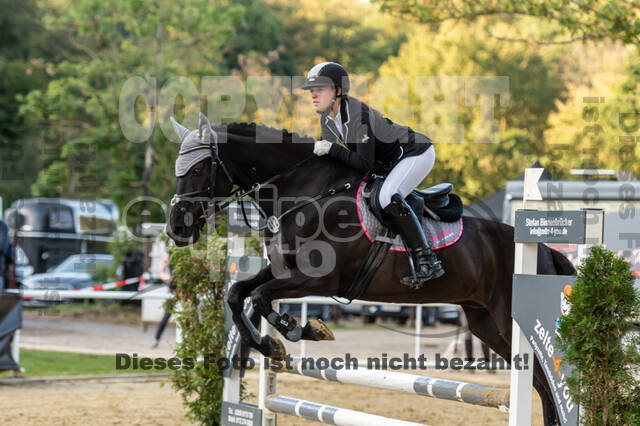 RFV Dinslaken-Hiesfeld (Herbstturnier)