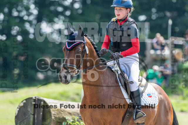 Goldene Schärpe 2021 - Ponys