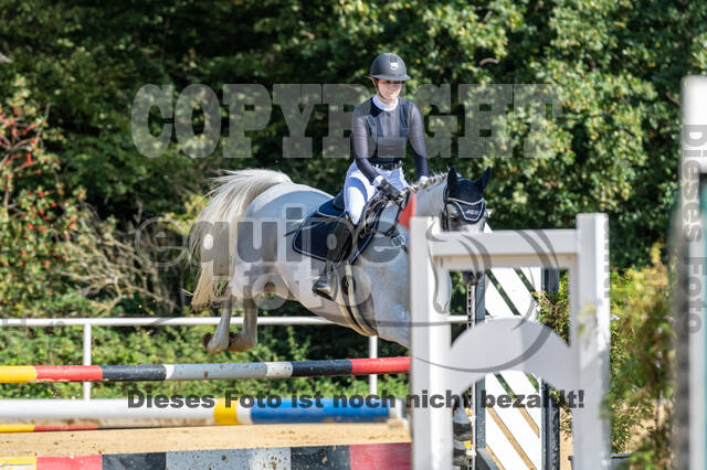 RFV Dinslaken-Hiesfeld (Herbstturnier)