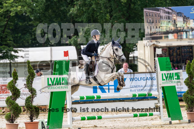 Goldene Schärpe 2021 - Ponys