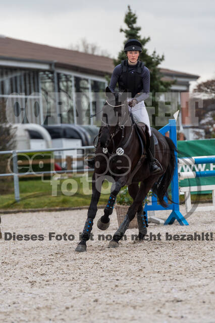 Eventing im Pferdesportzentrum Rheinland (Late Entry 14.03.2022)