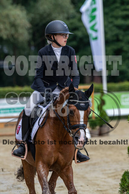 Goldene Schärpe 2021 - Ponys
