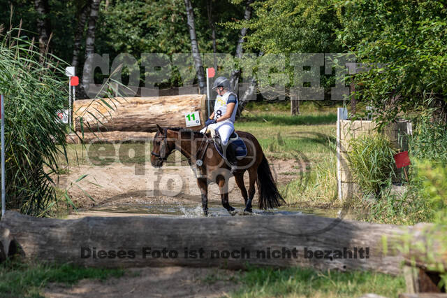 Late-Entry Vielseitigkeit Hamminkeln/Wesel (01.+02.08.2020)