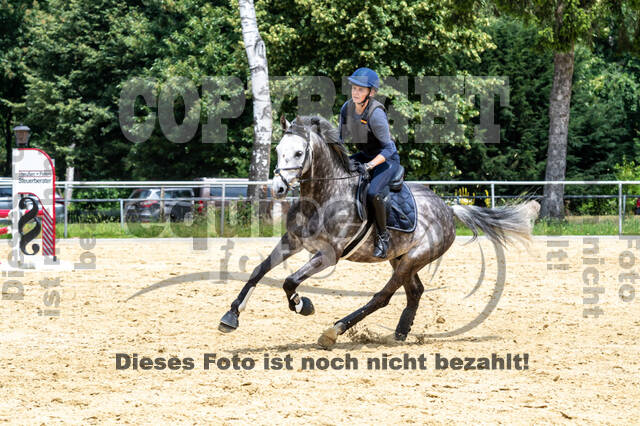 Hunter Geländetraining 10.07.2021 (Sonsbeck)