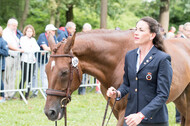 FEI European Championship Eventing 2017