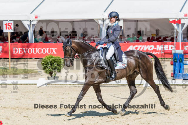 FEI European Championship