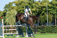 Kronenberg - De Peelbergen (August 2020)