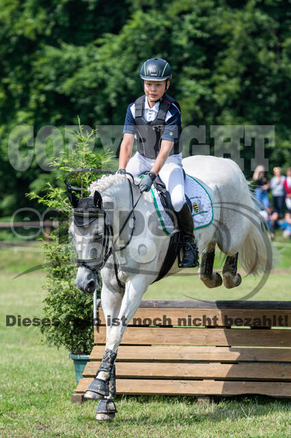 Goldene Schärpe 2021 - Ponys