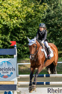 RFV Dinslaken-Hiesfeld (Herbstturnier)