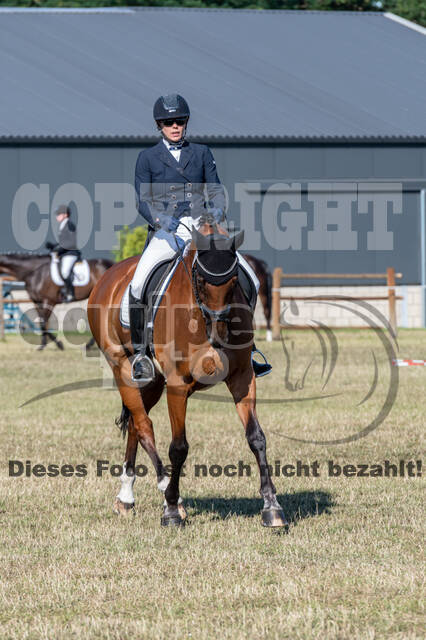 Kronenberg - De Peelbergen (August 2020)