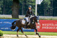 Goldene Schärpe 2021 - Ponys