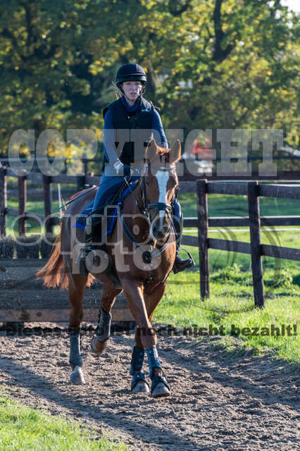 Vielseitigkeitslehrgang mit Jürg Kurbel (9.+10.11.2019)
