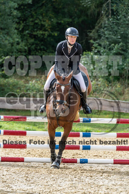 Vielseitigkeit RSV Wesel Obrighoven (26.+27.09.2020)