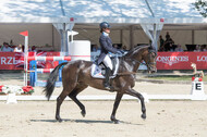FEI European Championship