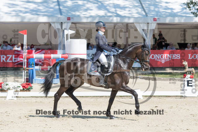 FEI European Championship