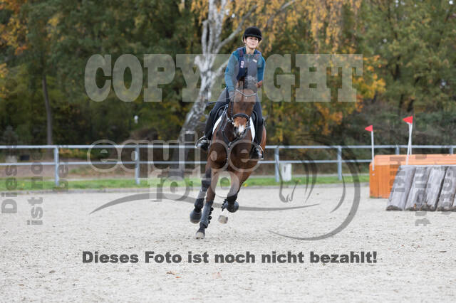 IGV Lehrgang der Sieger der Cups mit Frank Ostholt