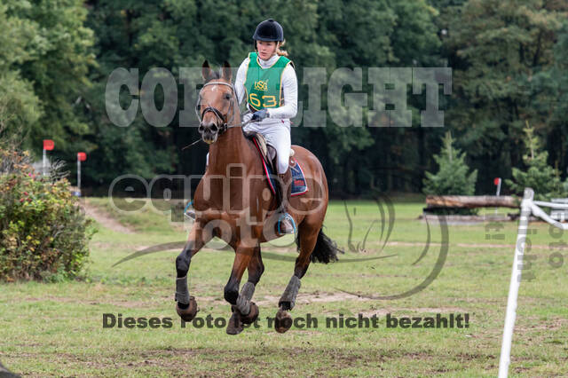 Vielseitigkeit RSV Wesel Obrighoven (26.+27.09.2020)