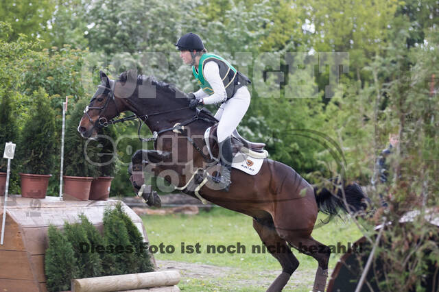 Sterne über Münster 2019 - CCI***S