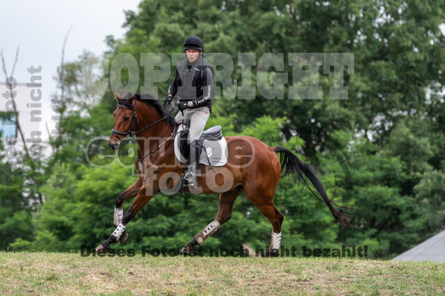 Late-Entry-Vielseitigkeit Langenfeld (11.+13./14.06.2020)