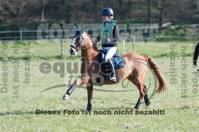 Vielseitigkeitsturnier RV Seydlitz Kamp (03.04.2022)