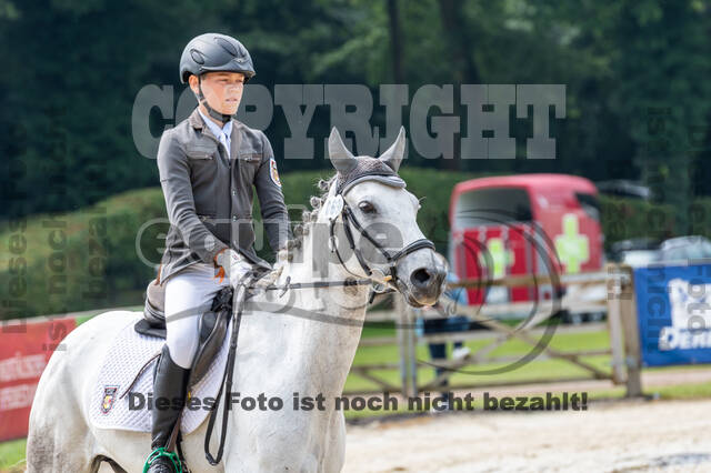 Goldene Schärpe 2021 - Ponys
