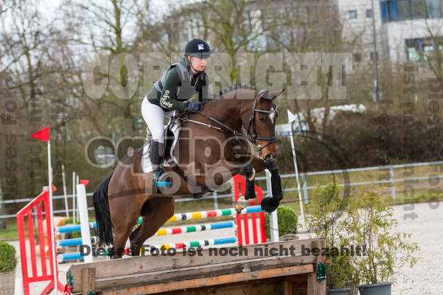Eventing im Pferdesportzentrum Rheinland (Late Entry 14.03.2022)