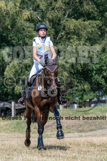 Late-Entry Vielseitigkeit Hamminkeln/Wesel (01.+02.08.2020)