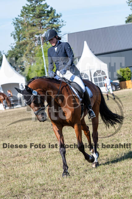 Kronenberg - De Peelbergen (August 2020)