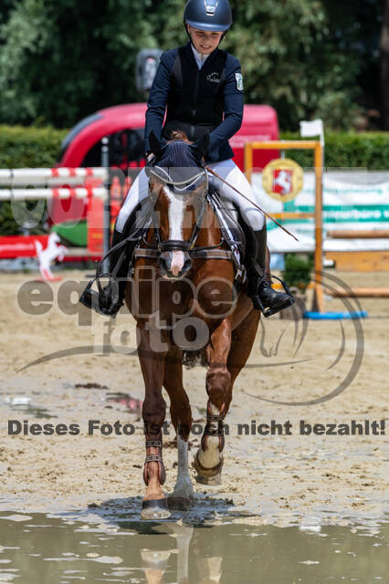 Goldene Schärpe 2021 - Ponys
