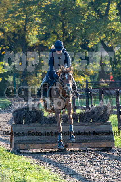 Vielseitigkeitslehrgang mit Jürg Kurbel (9.+10.11.2019)