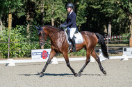 Kronenberg - De Peelbergen (August 2020)